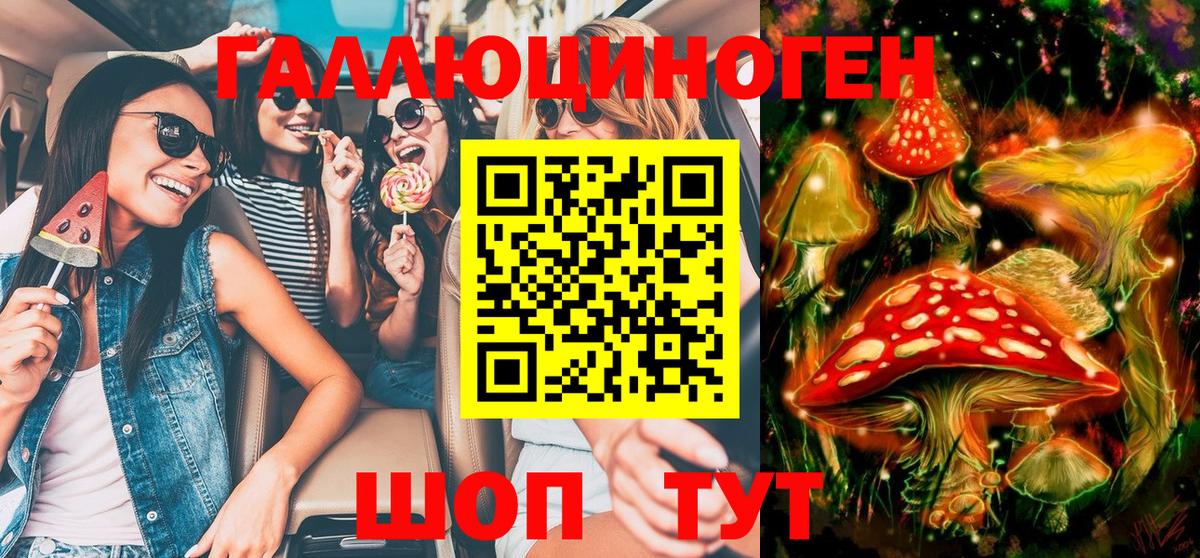 Псилоцибиновые грибы Magic Shrooms  Вход с VPN  Химки  цены   Галлюциногенные грибы Psilocybine cubensis 